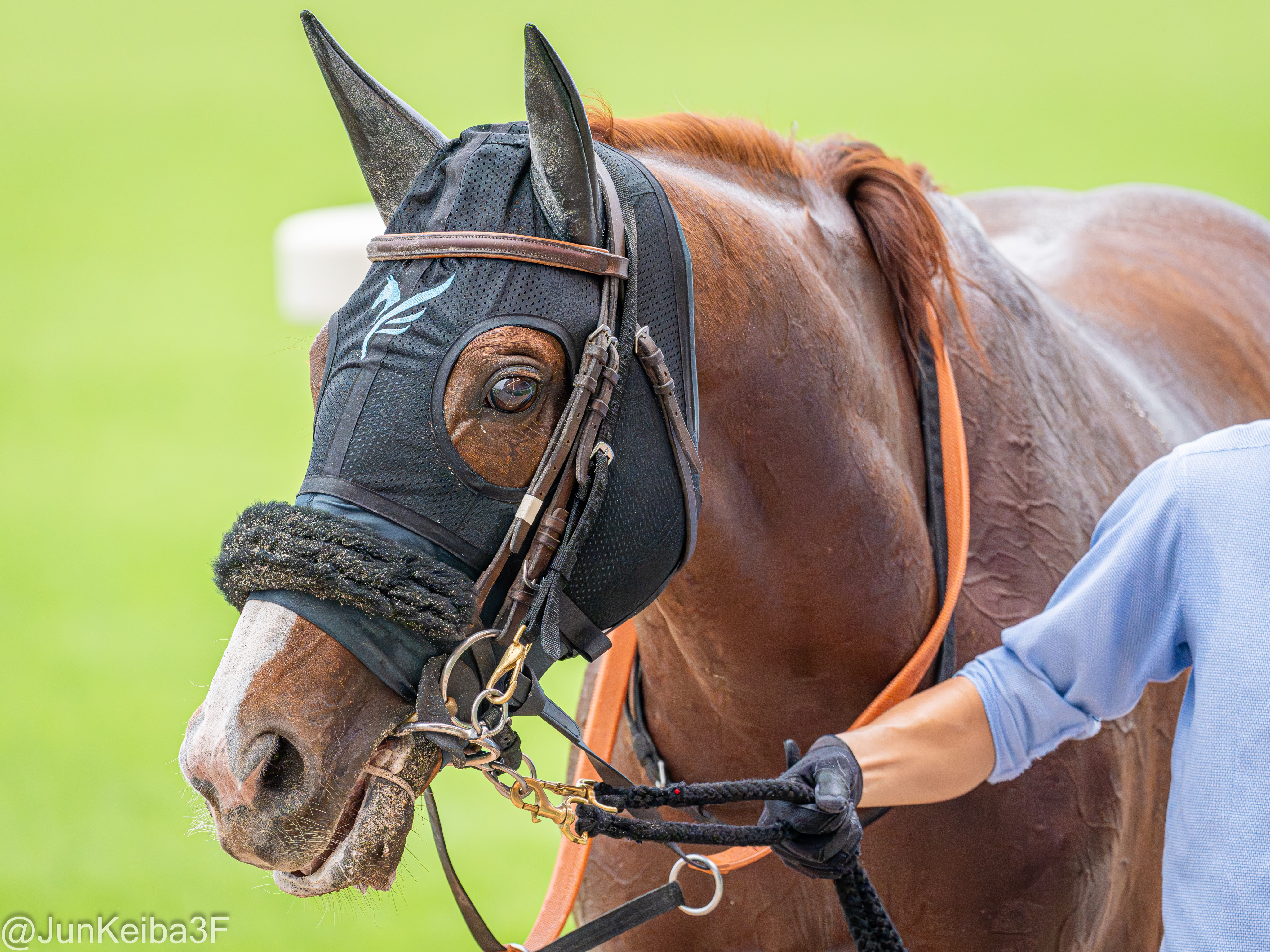 ウマキ様ご連絡ページ じゅん@競馬垢 on X: 