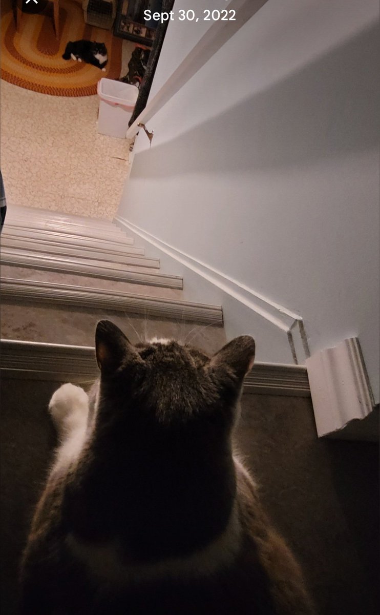 Mark H. Rodgers tweet media