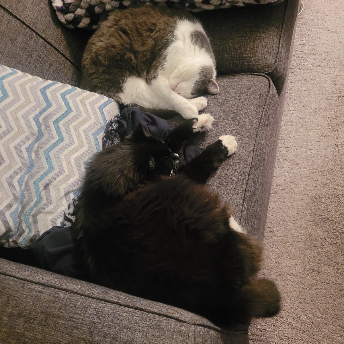 Mark H. Rodgers tweet media