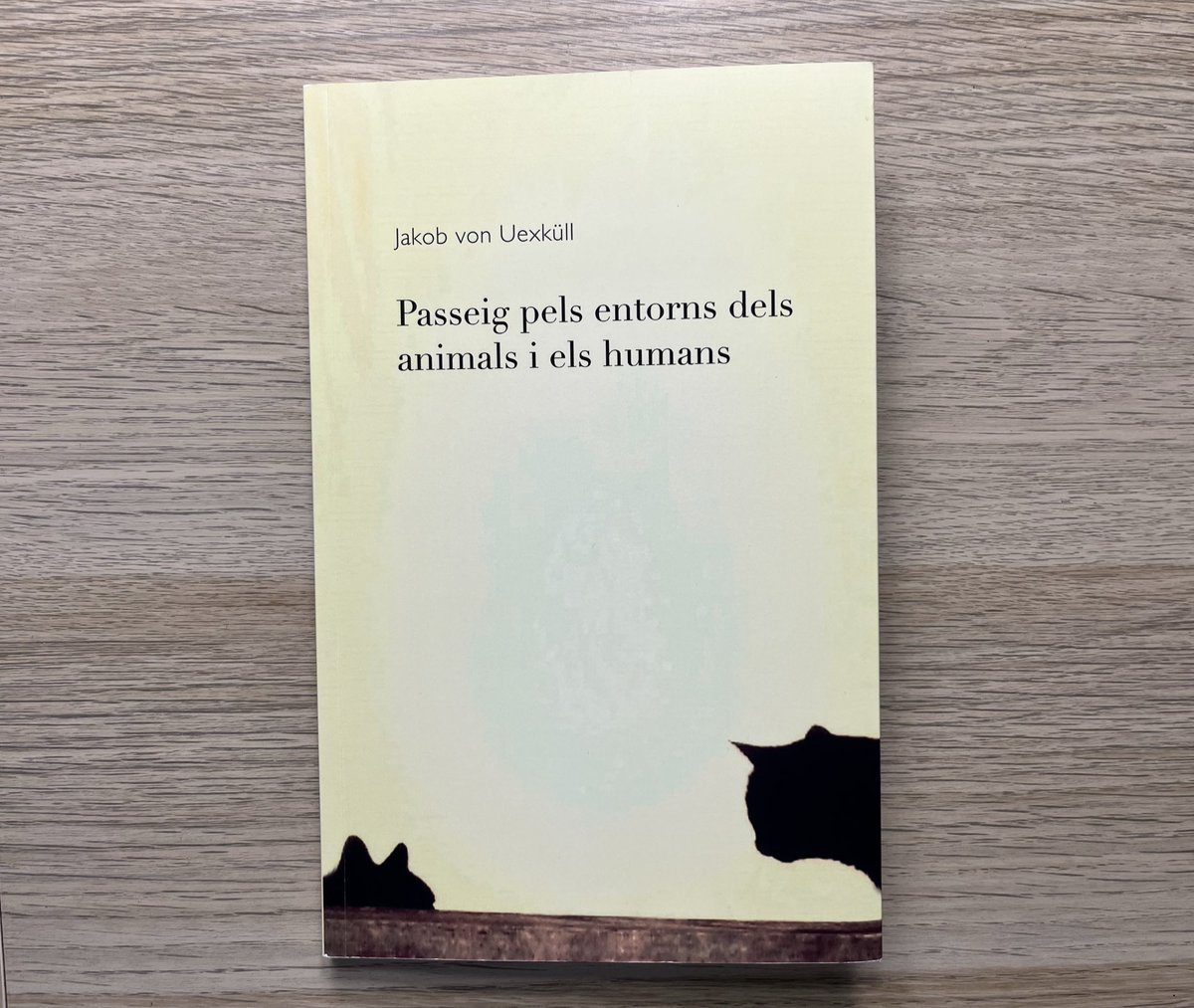 Escola de filosofia tweet media