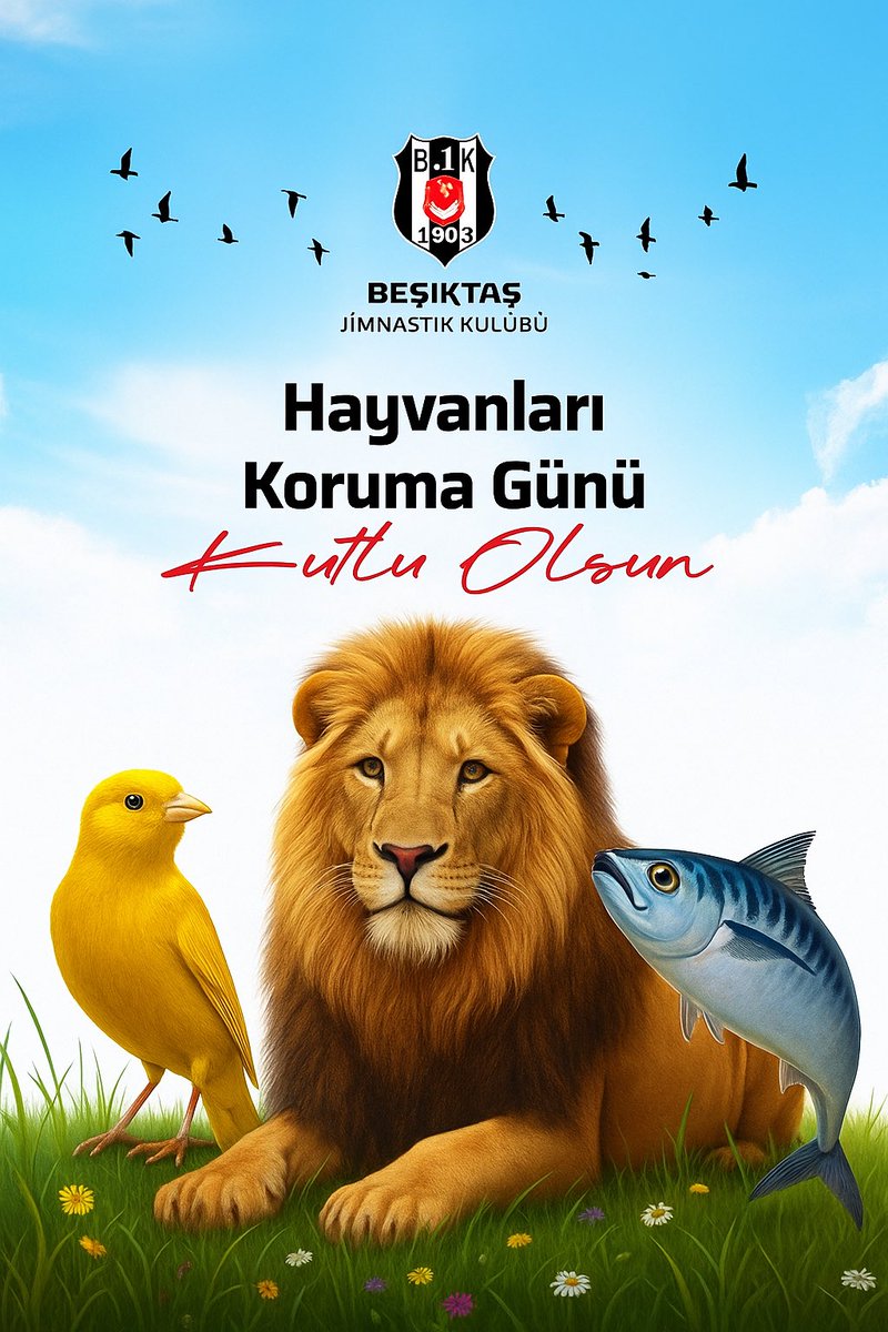 endemikego's tweet photo. @Besiktas Beklediğimiz görsel buydu dostum https://t.co/WhPjneHvhI