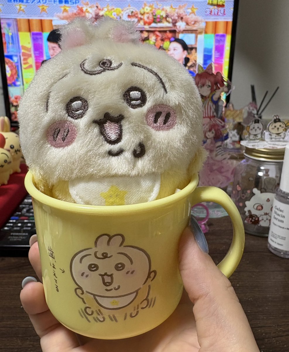 mmmmjtpg's tweet photo. かわ https://t.co/KkOOE2GxTg