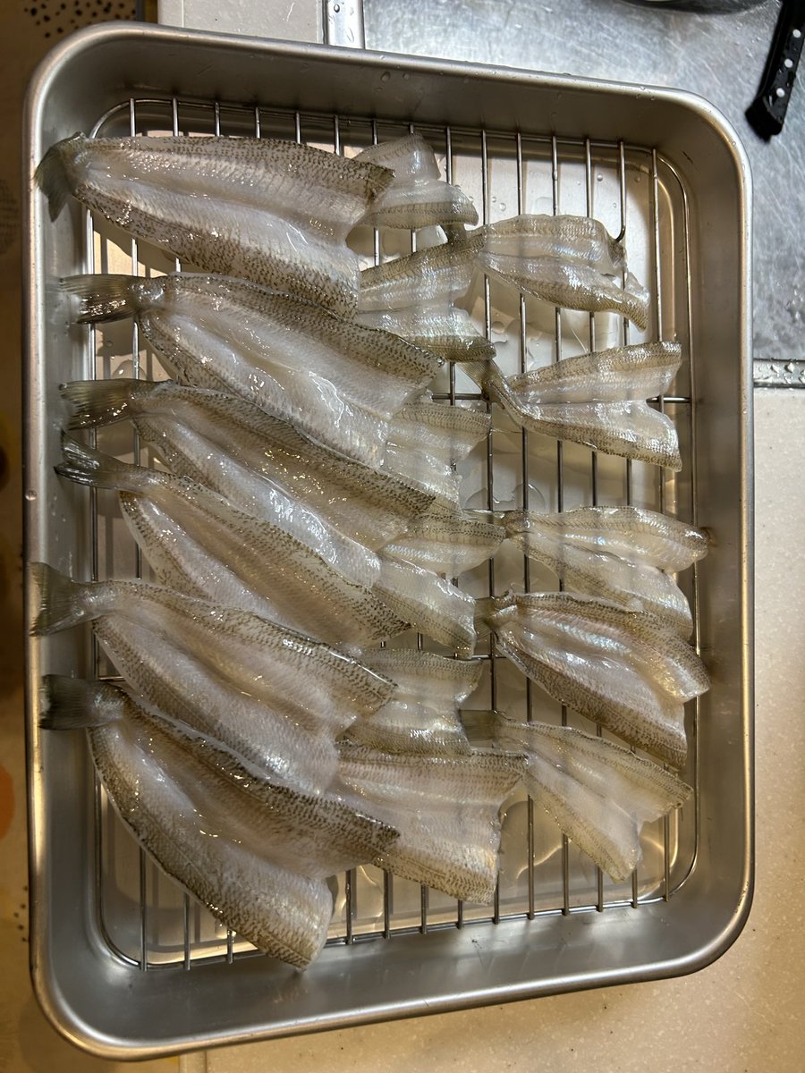 MaassaaMaassaa's tweet photo. 今日は午前中のみでホームに
調子良かったのですが、観光地引網が始まるから退けと言われ泣く泣く移動しても当たらず伸びず… https://t.co/7nKjtxO6gp