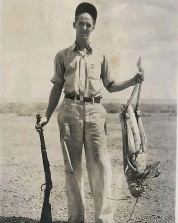 Охотник на саранчу.