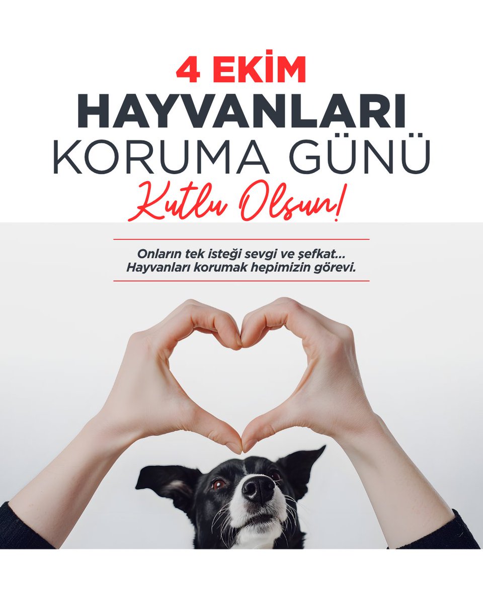 Bu güne 
Hayvanları insanlardan koruma günü diyelim biz.
#4EkimHayvanlarıKorumaGünü