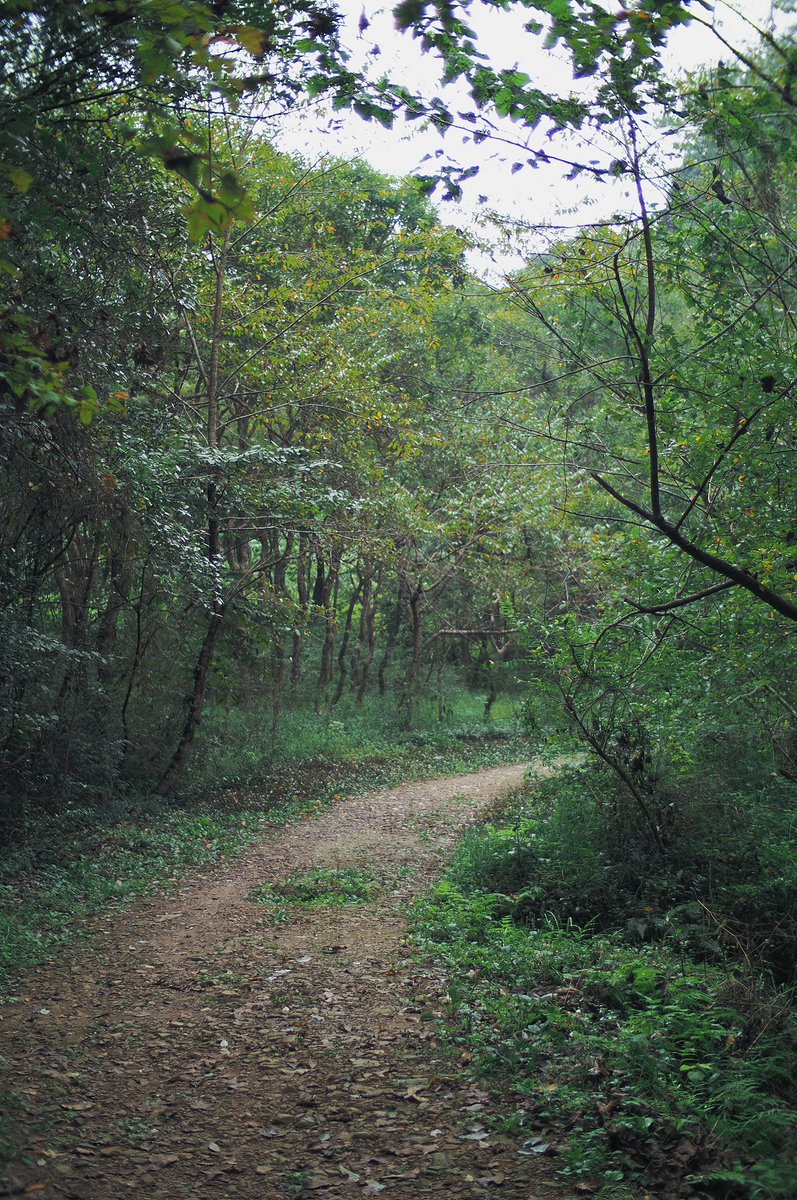 snpub156928's tweet image. 天然养吧
#followback
#followme
#follow4follow
#互fo
#相互フォロー