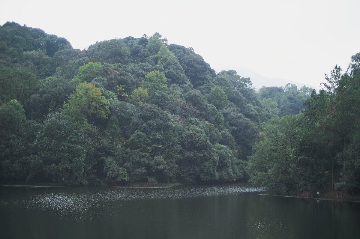 snpub156928's tweet image. 天然养吧
#followback
#followme
#follow4follow
#互fo
#相互フォロー