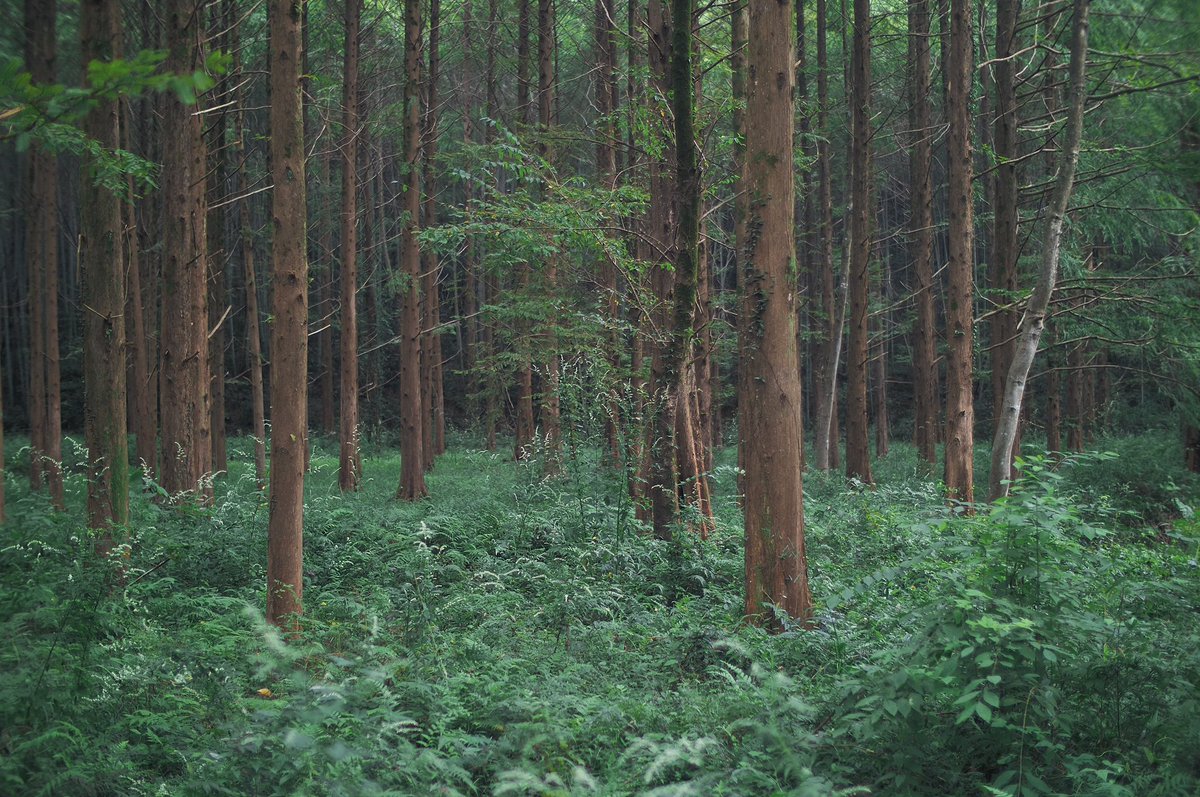 snpub156928's tweet image. 天然养吧
#followback
#followme
#follow4follow
#互fo
#相互フォロー