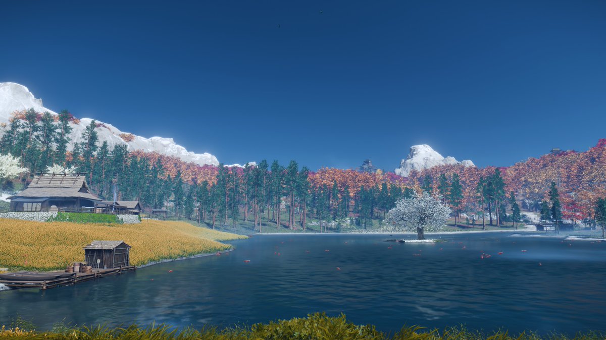 Coookiemonst tweet media