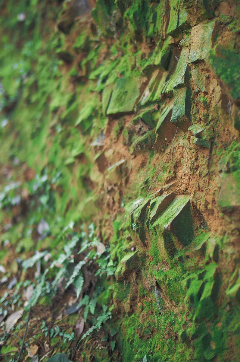 snpub156928's tweet image. 新鲜空气
#followback
#followme
#follow4follow
#互fo
#相互フォロー