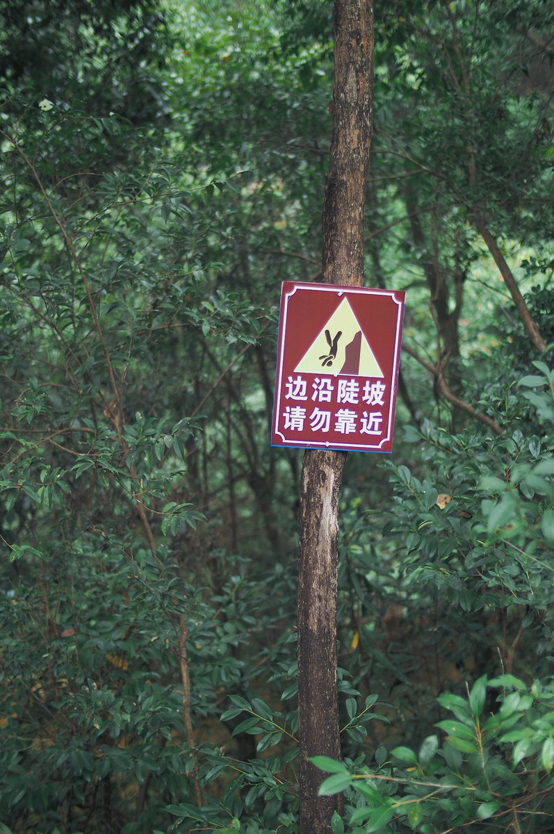 snpub156928's tweet image. 新鲜空气
#followback
#followme
#follow4follow
#互fo
#相互フォロー