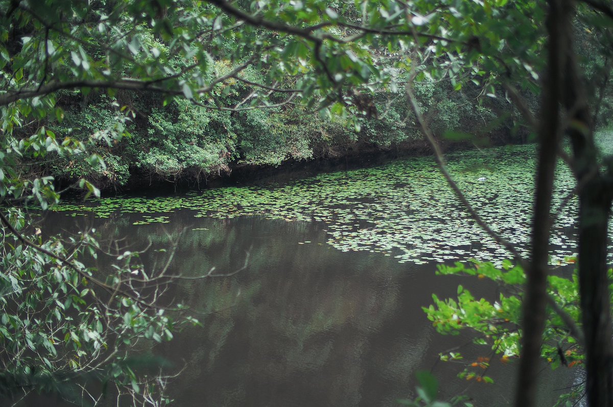 snpub156928's tweet image. 新鲜空气
#followback
#followme
#follow4follow
#互fo
#相互フォロー