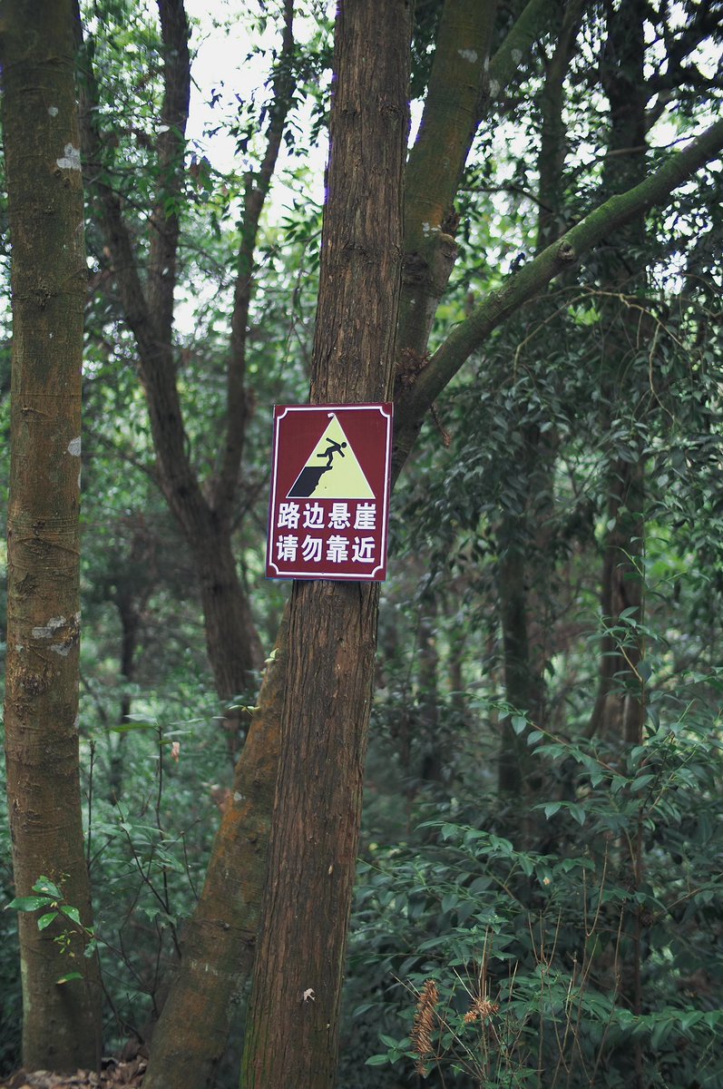 snpub156928's tweet image. 新鲜空气
#followback
#followme
#follow4follow
#互fo
#相互フォロー