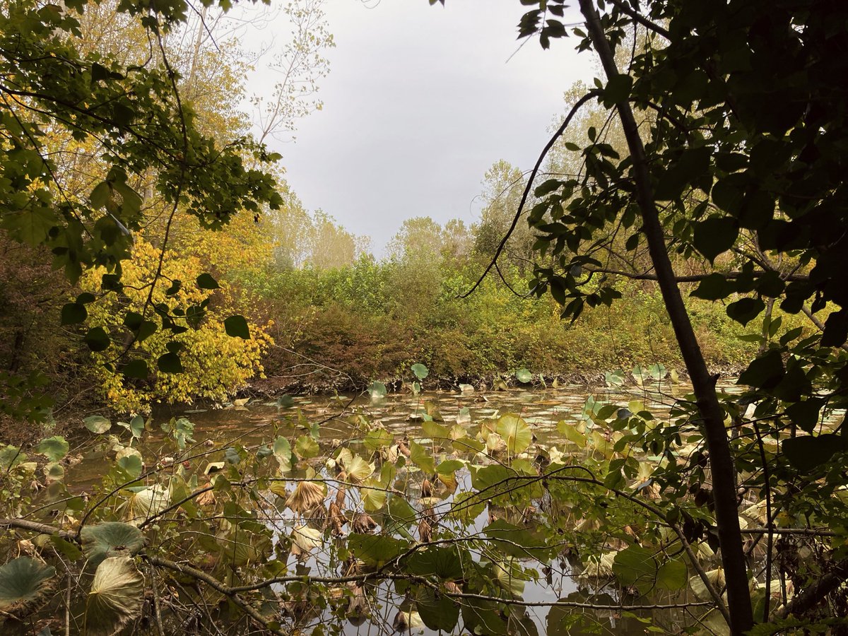 asdustclears's tweet photo. October walks 🧡 https://t.co/3w9xSQopjj