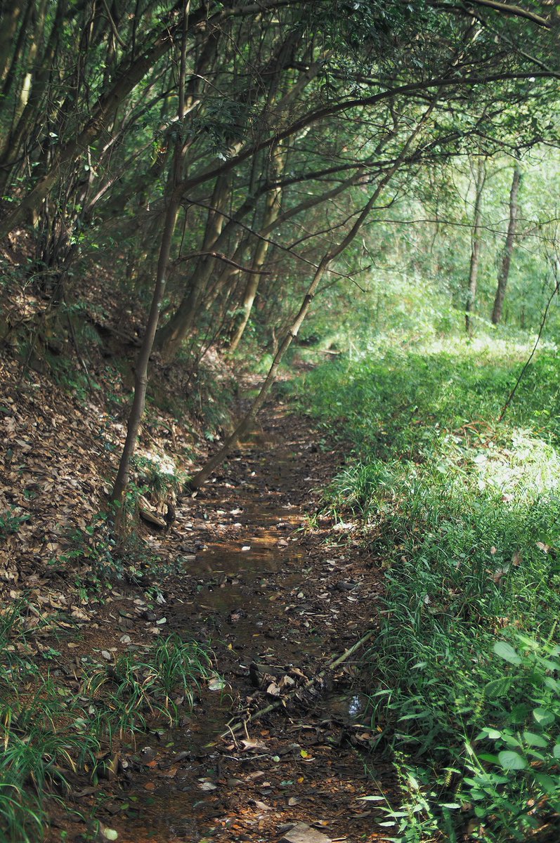 snpub156928's tweet image. 绿意盎然
#followback
#followme
#follow4follow
#互fo
#相互フォロー