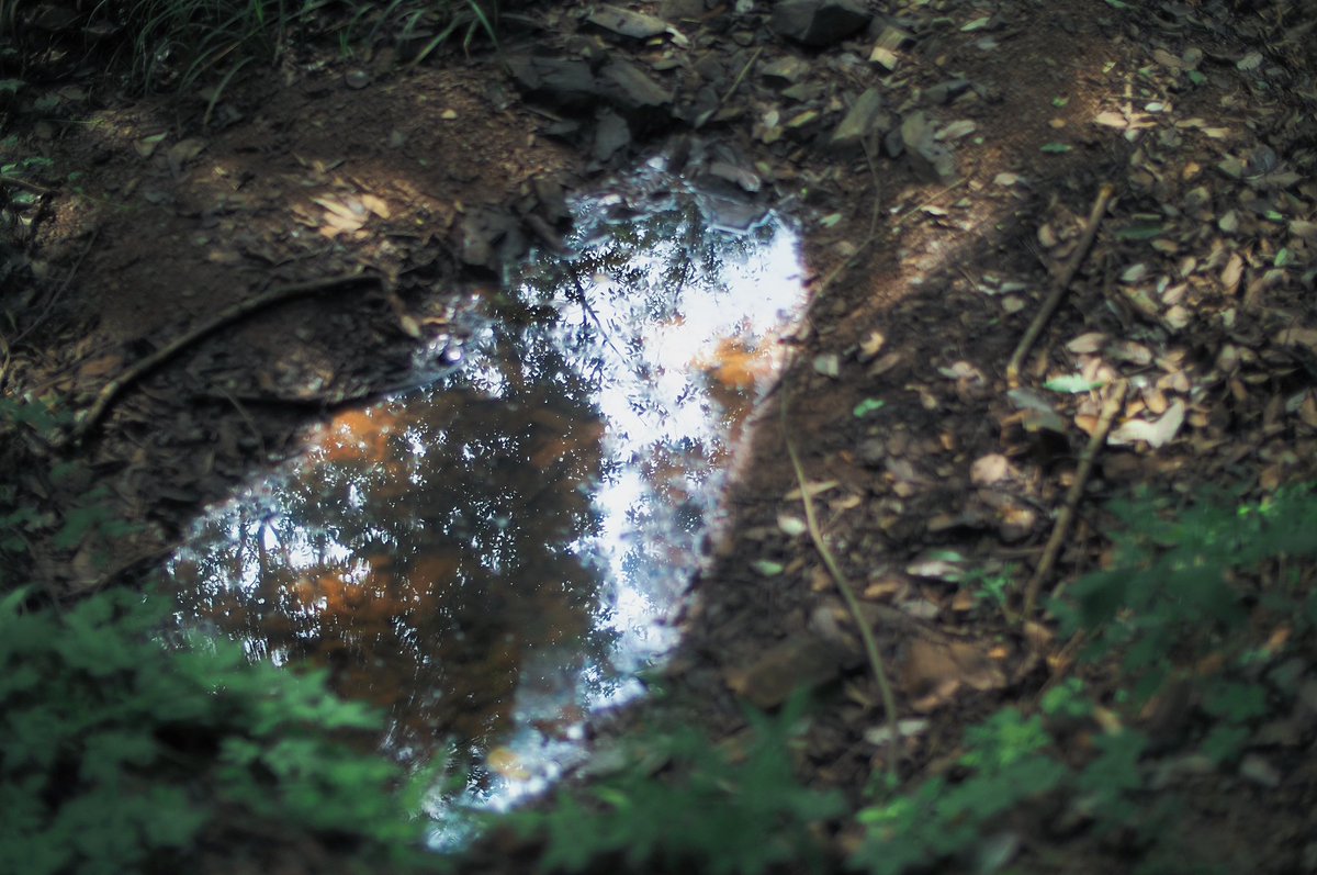 snpub156928's tweet image. 绿意盎然
#followback
#followme
#follow4follow
#互fo
#相互フォロー