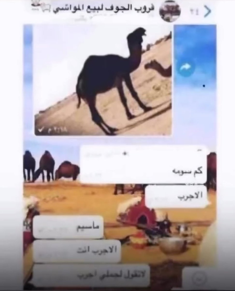 Nawaf/نواف الحربي (@nwf1811144) on Twitter photo 