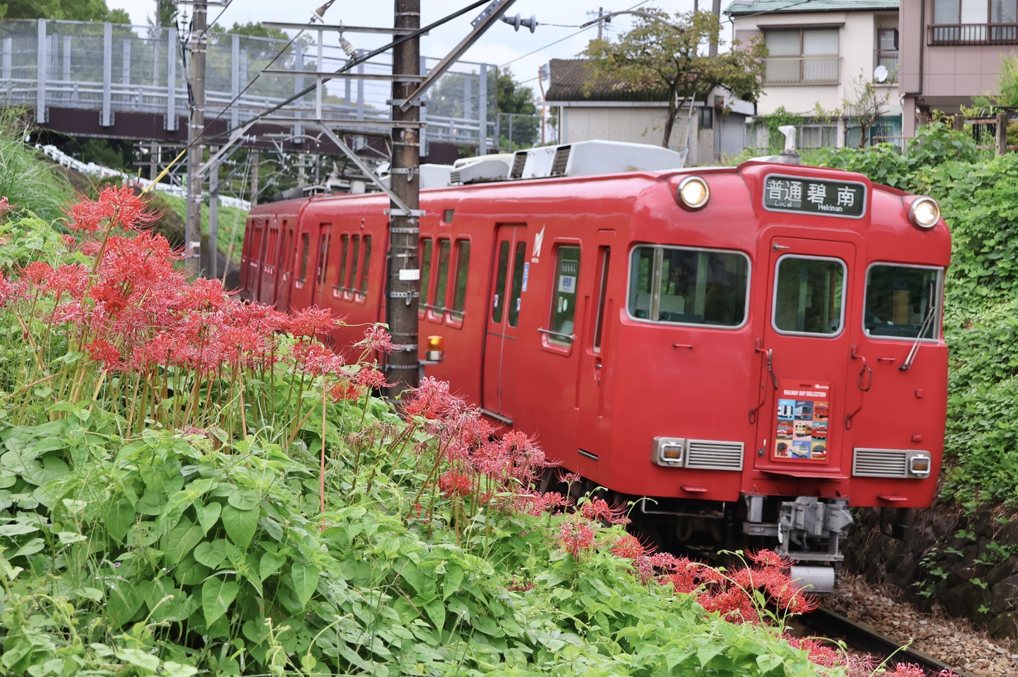 鉄道プレート 両面 アルプス/たてしな 鉄道プレート 両面 アルプス/たてしな 鉄道プレート 両面