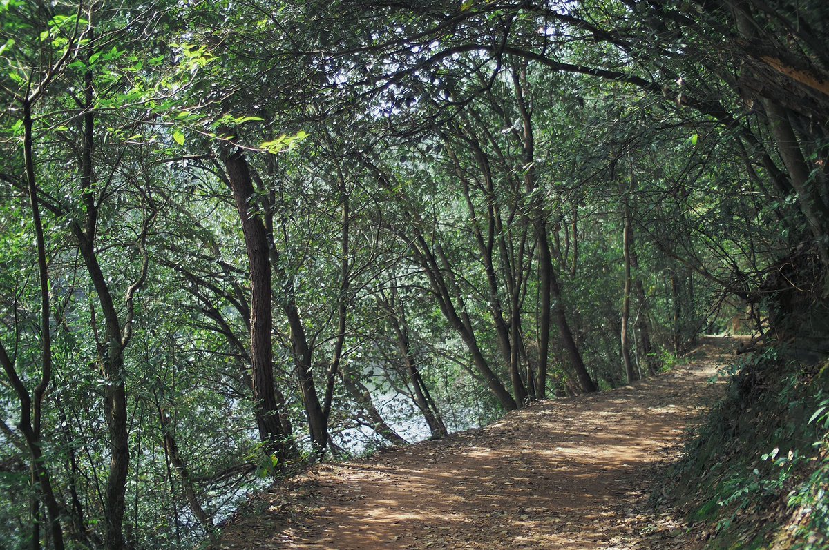 snpub156928's tweet image. 绿
#followback
#followme
#follow4follow
#互fo
#相互フォロー