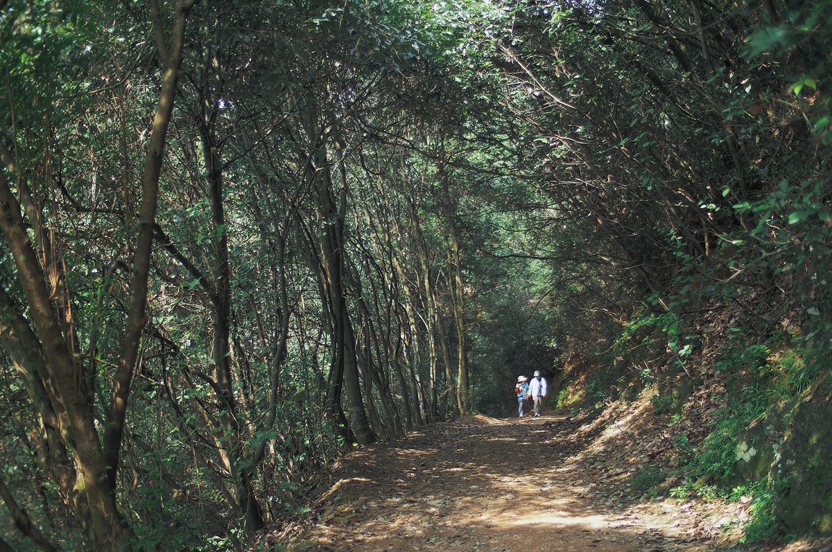 snpub156928's tweet image. 绿
#followback
#followme
#follow4follow
#互fo
#相互フォロー