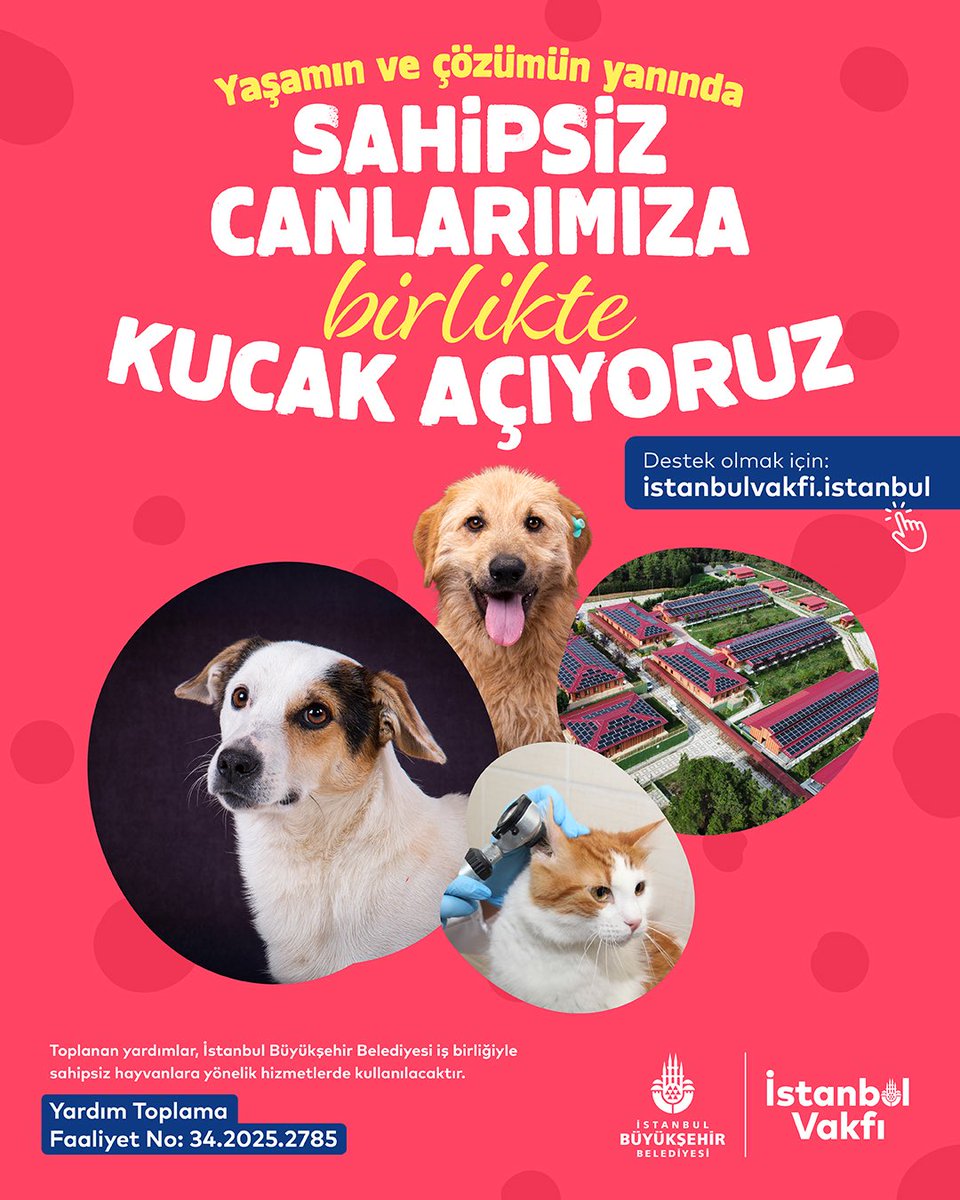 Sahipsiz canlarımıza birlikte kucak açıyoruz! 🐱🐶
Hayvanların yaşam hakkını güvence altına almaya, daha sağlıklı, güvenli, mutlu bir yaşam sürmelerini sağlamaya yönelik hizmetlerimiz için başlattığımız kampanyamıza İstanbulluların desteğini bekliyoruz. 👉 istanbulvakfi.istanbul