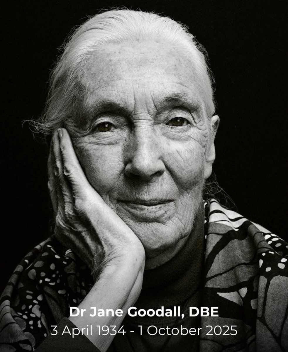 Reyousable tweet media