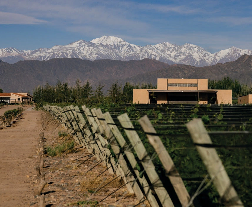 Finca Bandini presenta Supraterra: tres Malbec excepcionales que celebran a Las Compuertas
vinosypasiones.com/2025/10/04/fin…