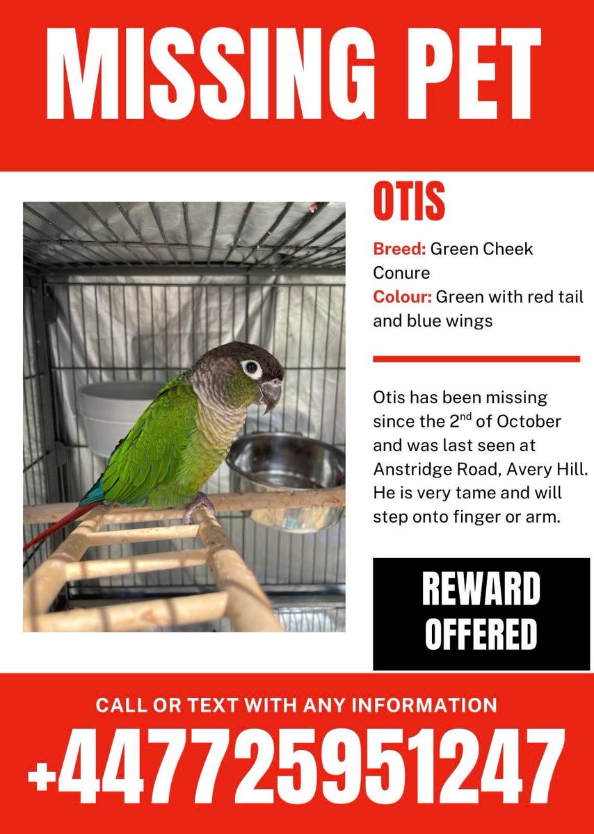 Birdline UK (@birdlineuk) on Twitter photo 