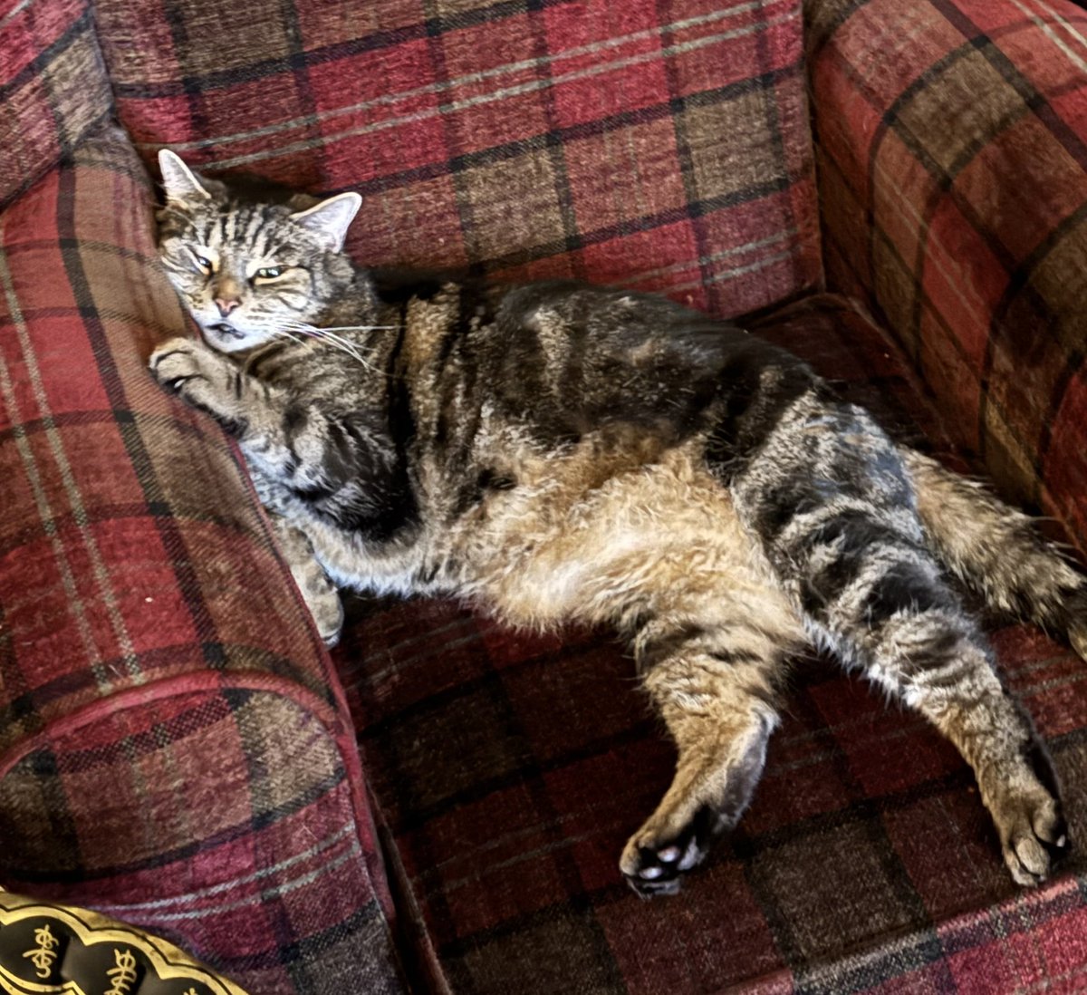 Knighton Museum - Amgueddfa Tref-y-Clawdd tweet media