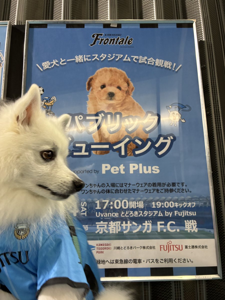 チェルシー - Search / X チェルシー - Search / X