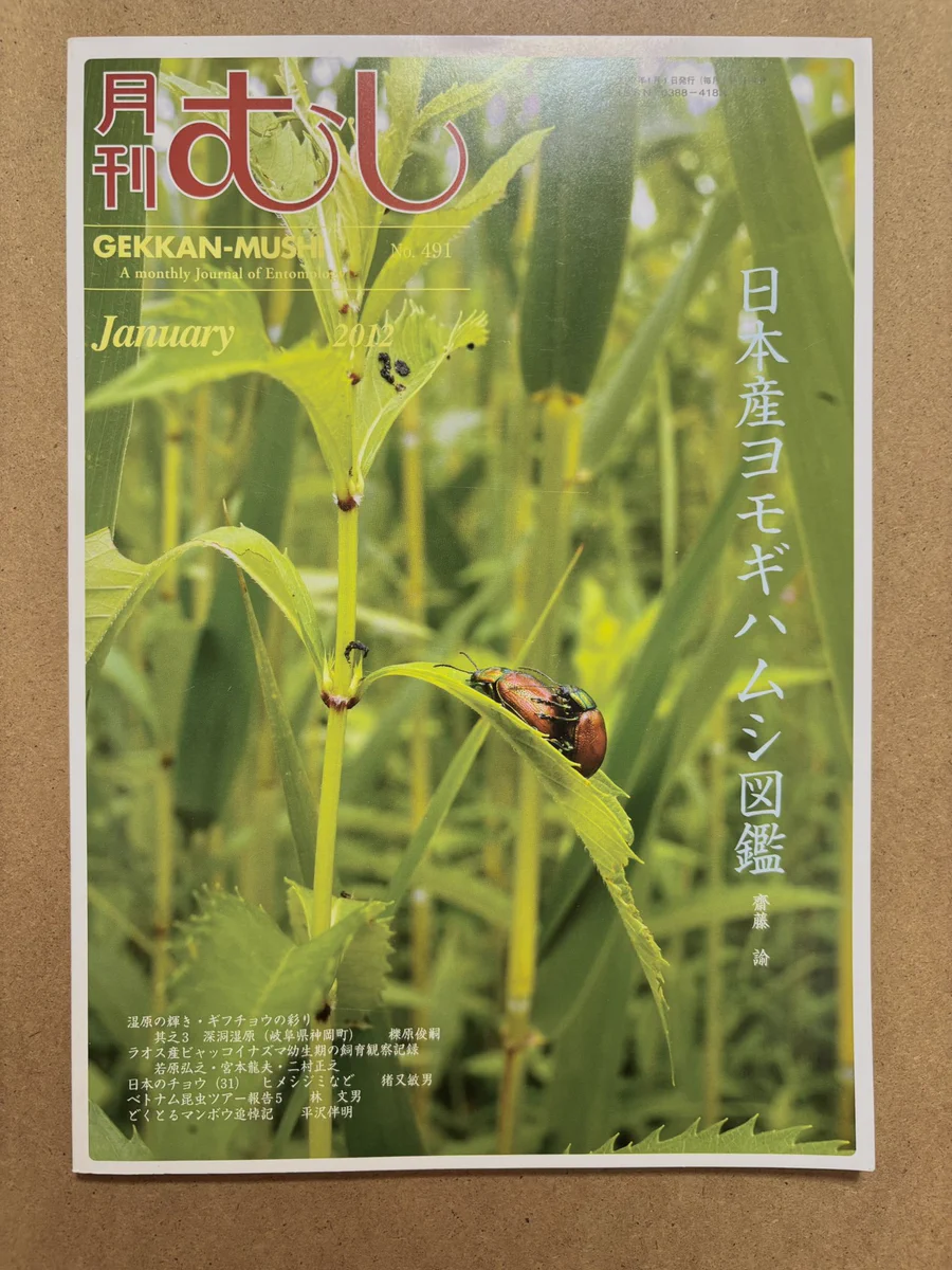 川崎映 on X: 