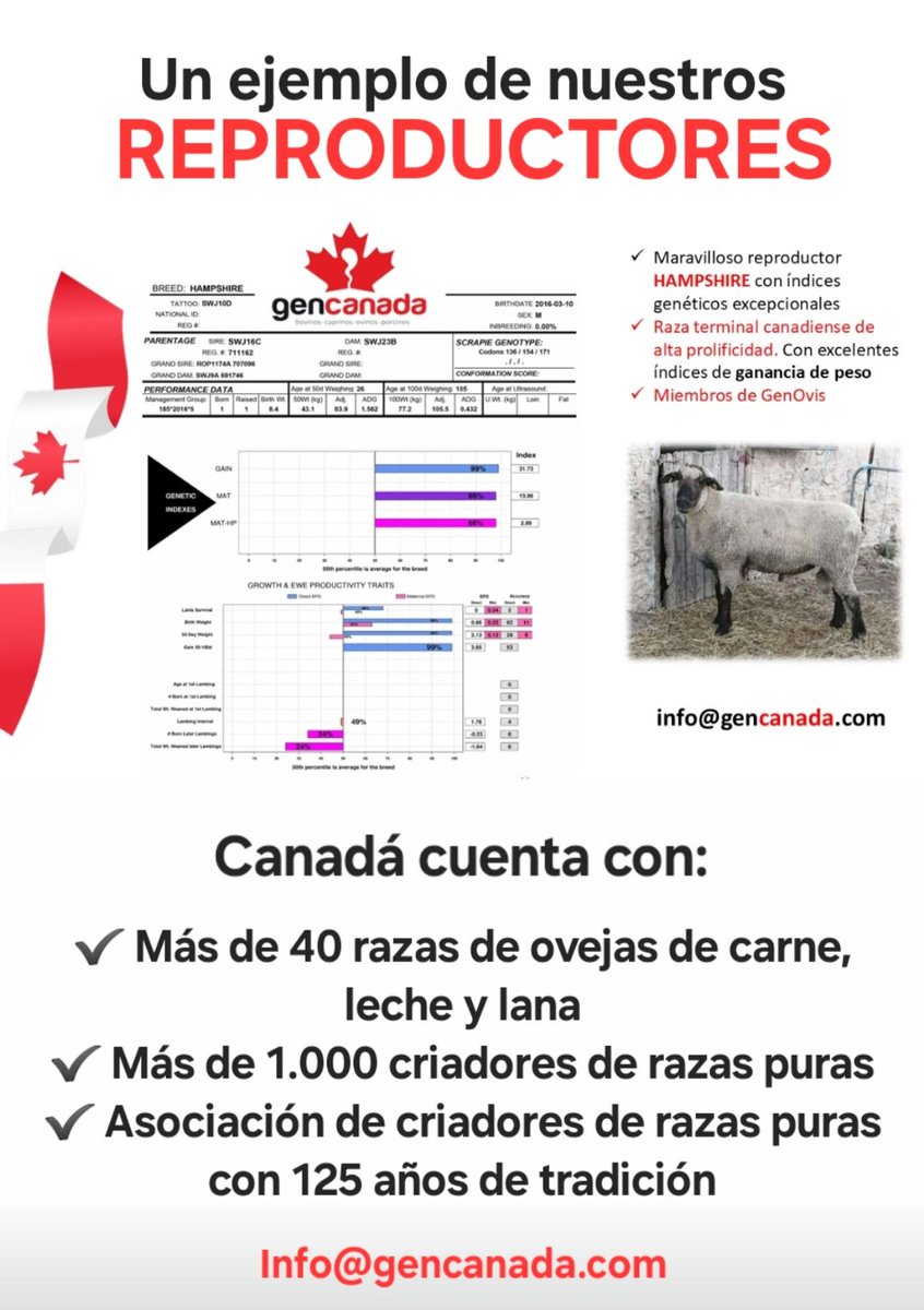 GENCANADA (@gencanada1) on Twitter photo 