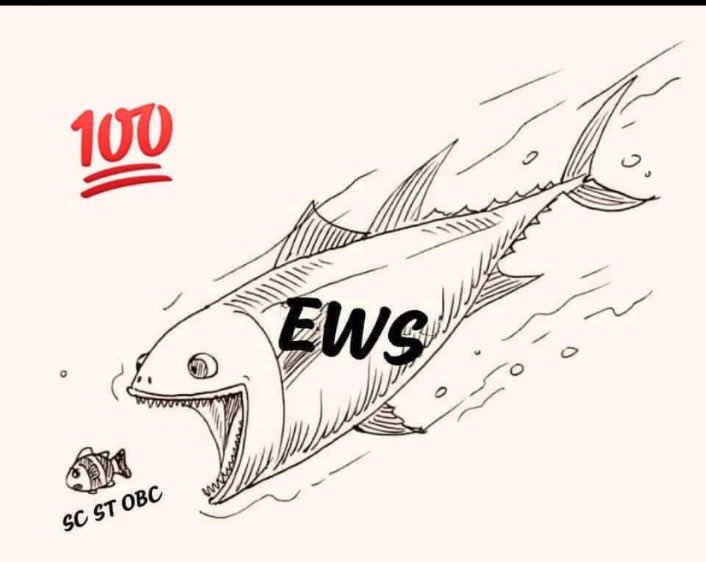 aiobcsa's tweet photo. EWS हटाओ, SC-ST-OBC आरक्षण बचाओ ✊

Our fight against EWS will continue. 

#RemoveEWS https://t.co/Aa2sV8zyXF