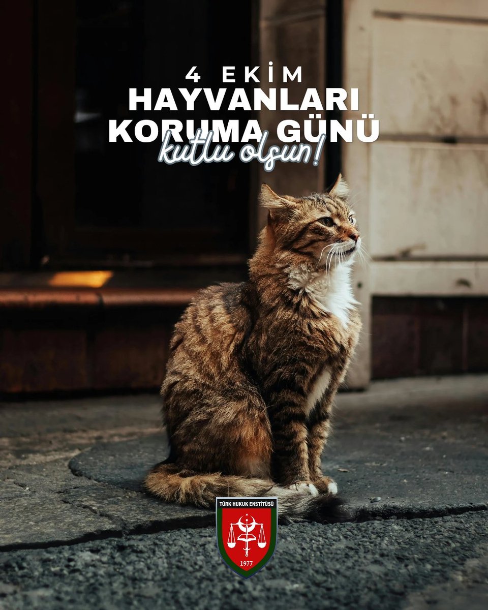 #4EkimHayvanlarıKorumaGünü Kutlu Olsun