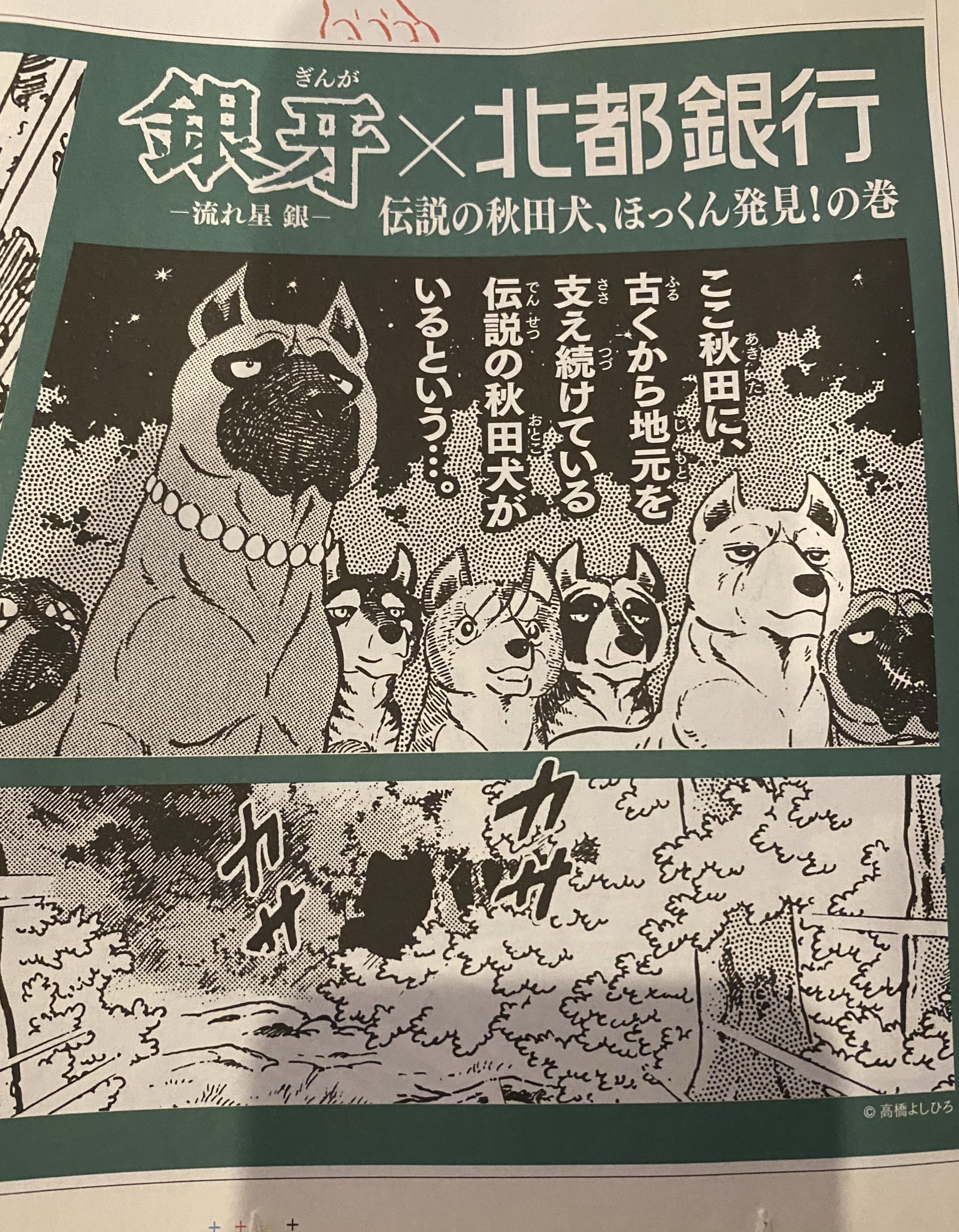 高橋よしひろ先生　手ぬぐい 高橋よしひろ先生 手ぬぐい 高橋よしひろ先生 手ぬぐい