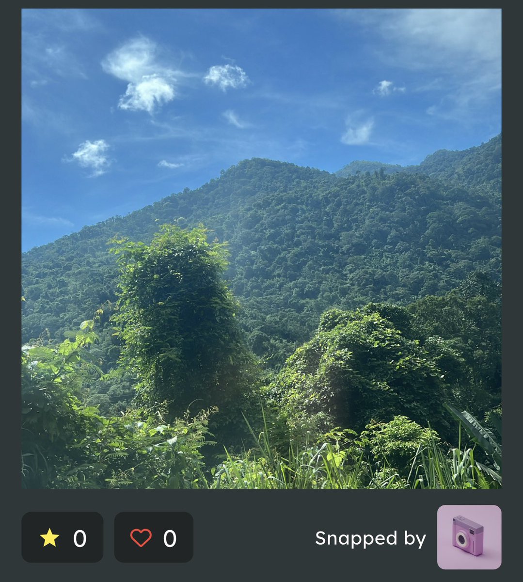 phucdang1988's tweet image. Cảnh Đẹp Việt Nam - Vietnam’s Beautiful Landscapes.

Đèo Bảo Lộc - Bao Loc Mountain Pass

#SNPIT #SNPITVietnam #Snap2Earn #SNPITDaily #WorldRepository