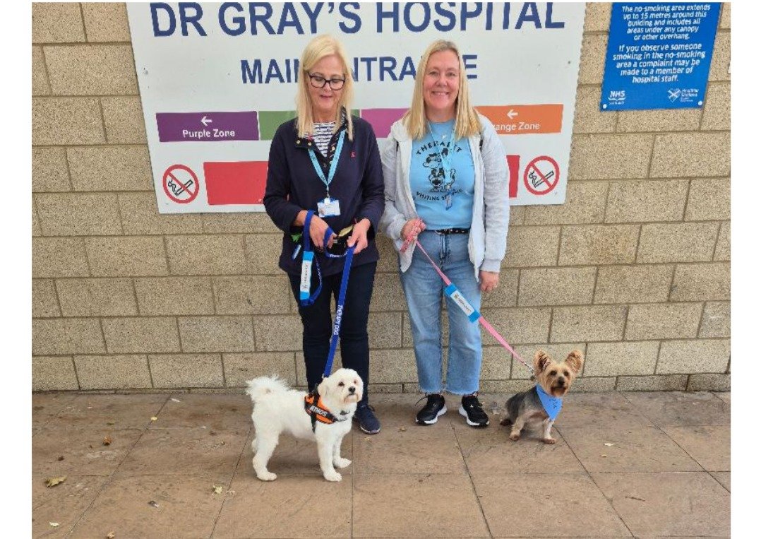 In Morayshire: 𝐃𝐫 𝐆𝐫𝐚𝐲'𝐬 𝐇𝐨𝐬𝐩𝐢𝐭𝐚𝐥 got another two new 𝐓𝐡𝐞𝐫𝐚𝐩𝐞𝐭𝐬 start visiting - 𝐌𝐢𝐜𝐡𝐞𝐥𝐞 with 𝐓𝐡𝐞𝐫𝐚𝐩𝐞𝐭®𝐀𝐭𝐡𝐨𝐬 (Bichon) &amp; volunteer 𝐋𝐢𝐬𝐚 with 𝐓𝐡𝐞𝐫𝐚𝐩𝐞𝐭®𝐌𝐢𝐧𝐧𝐢𝐞 (Yorkie)...🐾🐾
<a href="/NHSGrampian/">NHS Grampian</a> <a href="/TherapetC/">@Therapet-CCST</a> <a href="/CanineConcern/">CanineConcernTrust</a>