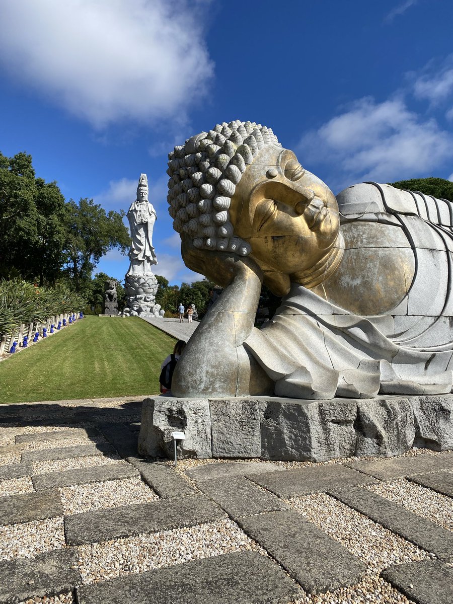 Tax guy 🇵🇹 tweet media