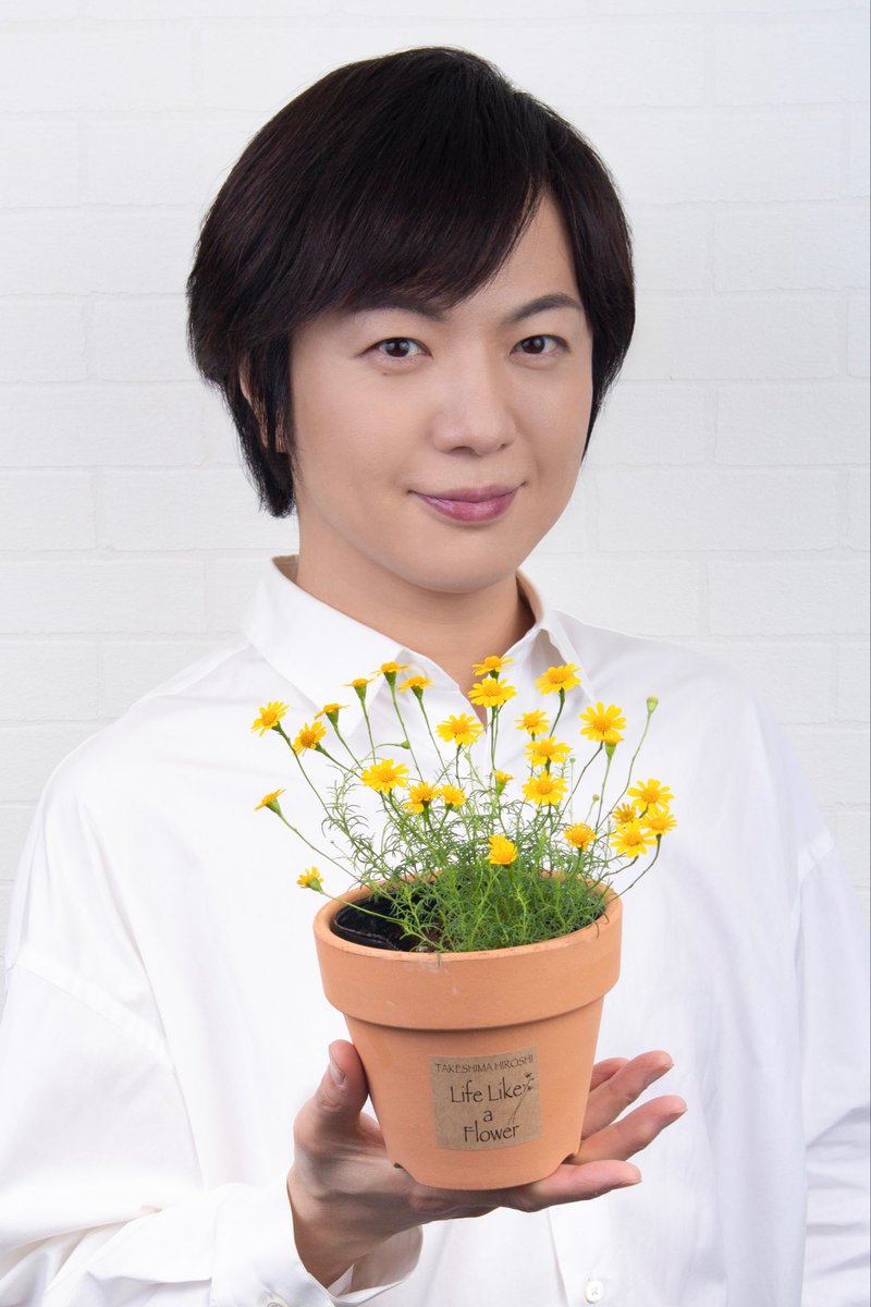 ダールベルグデージー