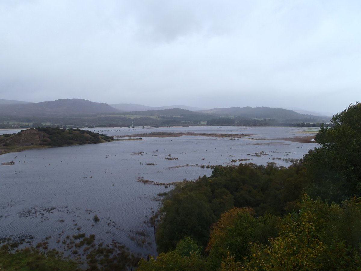 High tide at Insh Marshes today <a href="/VisitCairngrms/">VisitCairngorms.com</a> @visitkingussie