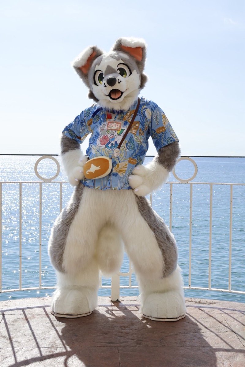 ザック🐶/くぅん (@Zack_6r) / Posts / X