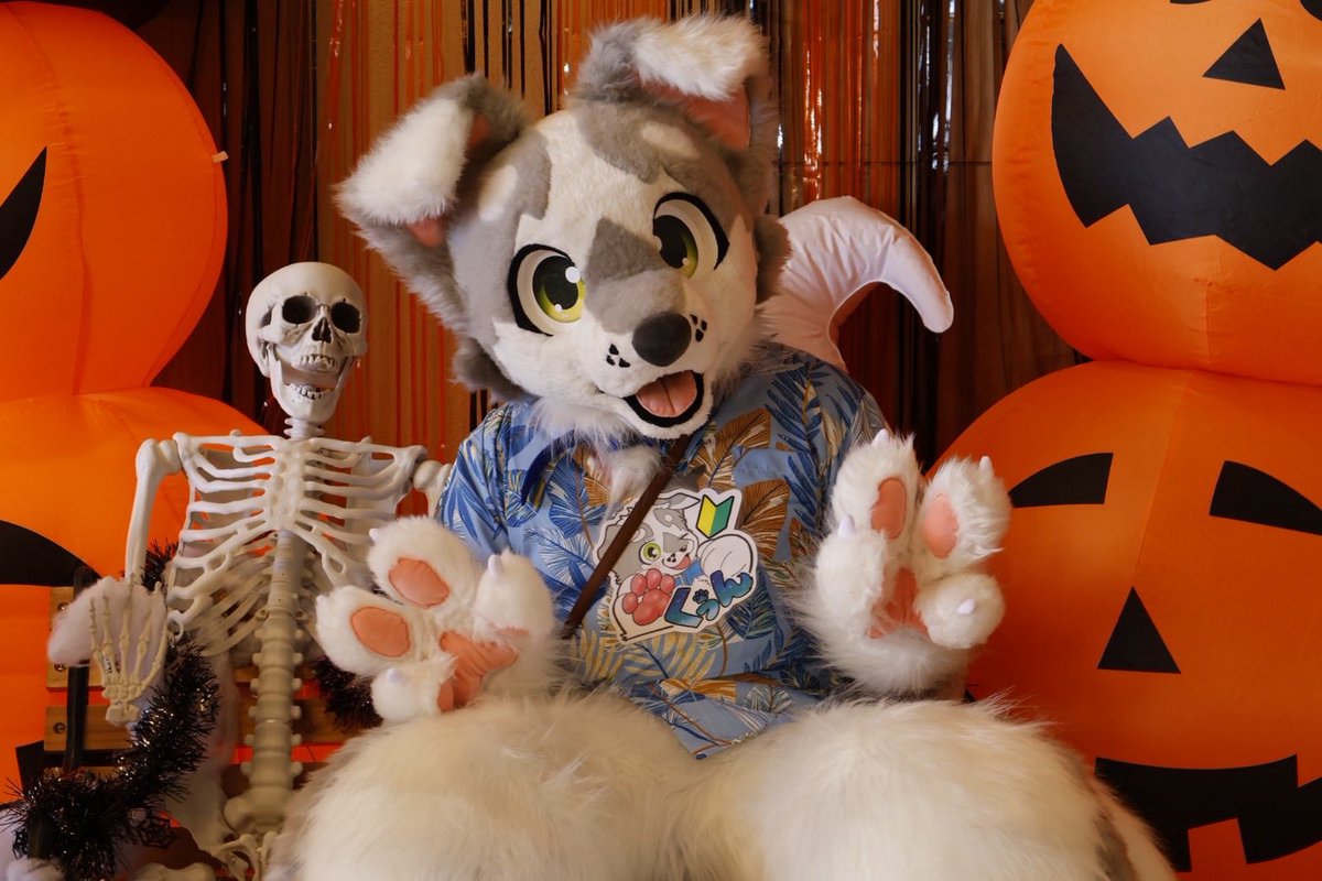 ザック🐶/くぅん (@Zack_6r) / Posts / X