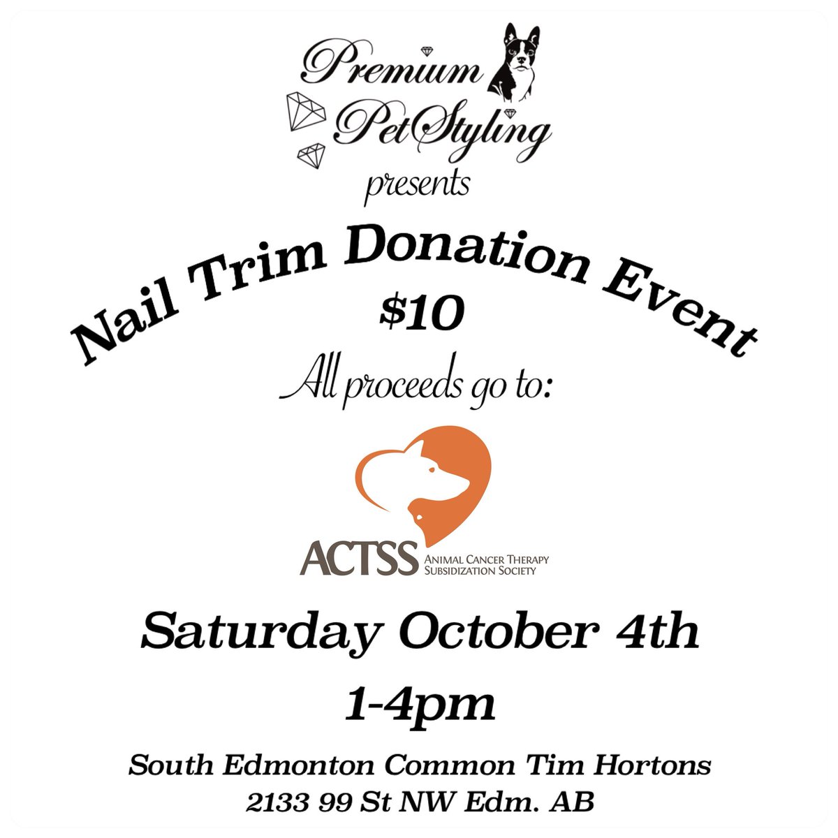 StylingPet's tweet photo. TODAY IS THE DAY!
#yeg #yegdogs #edmontonpets https://t.co/5BRf60xetJ