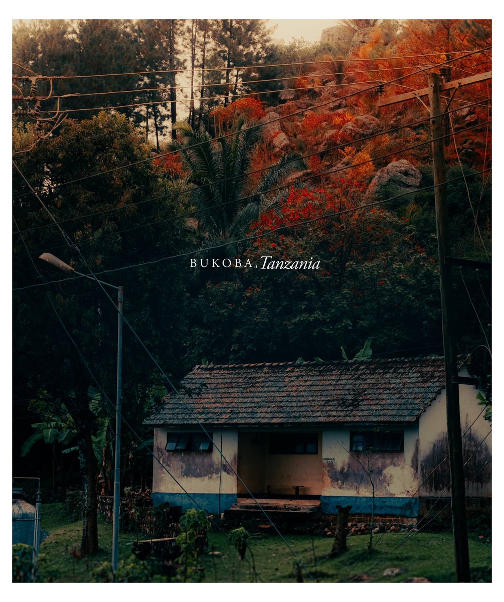 petervillain tweet media