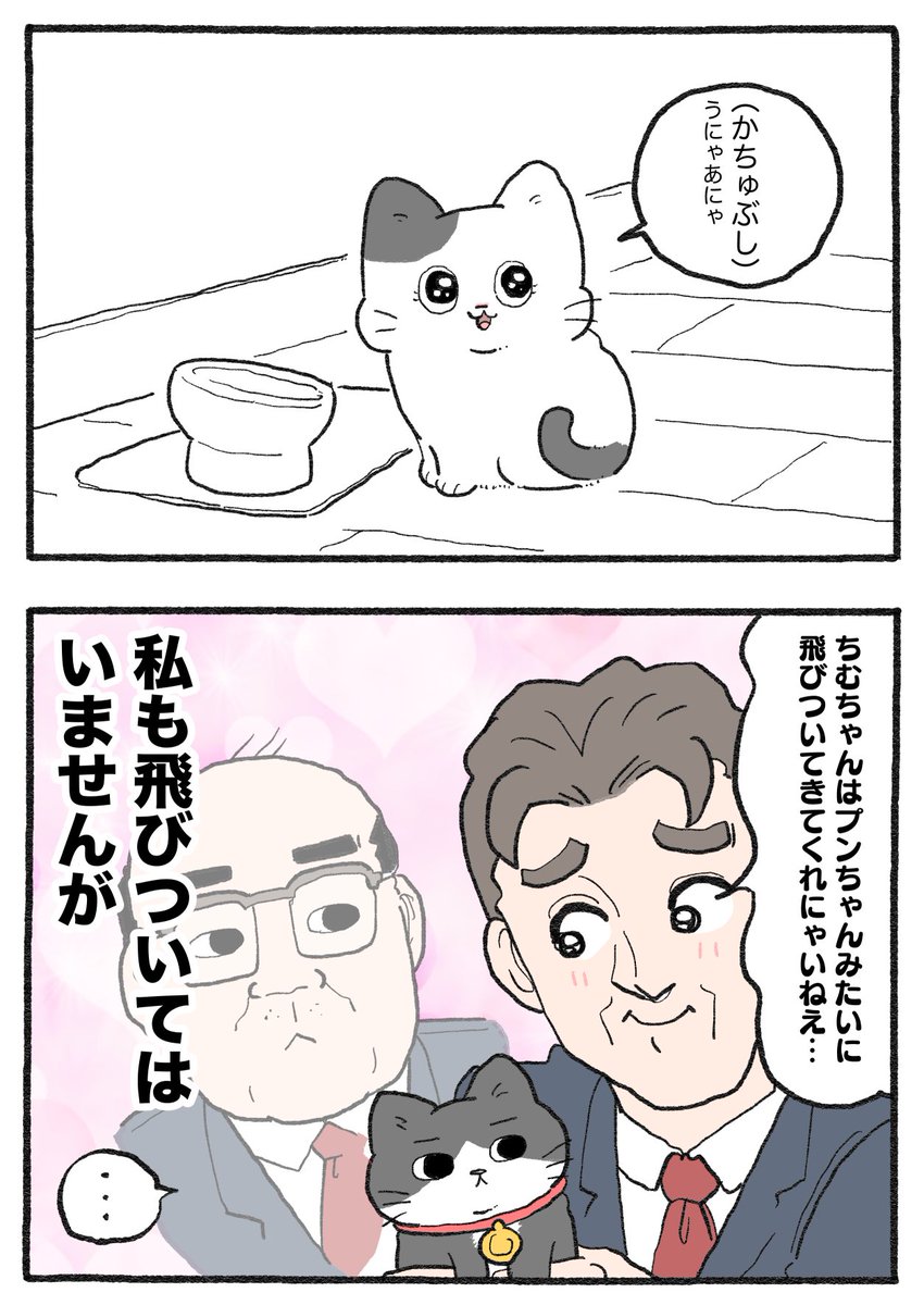 yajima_en tweet picture