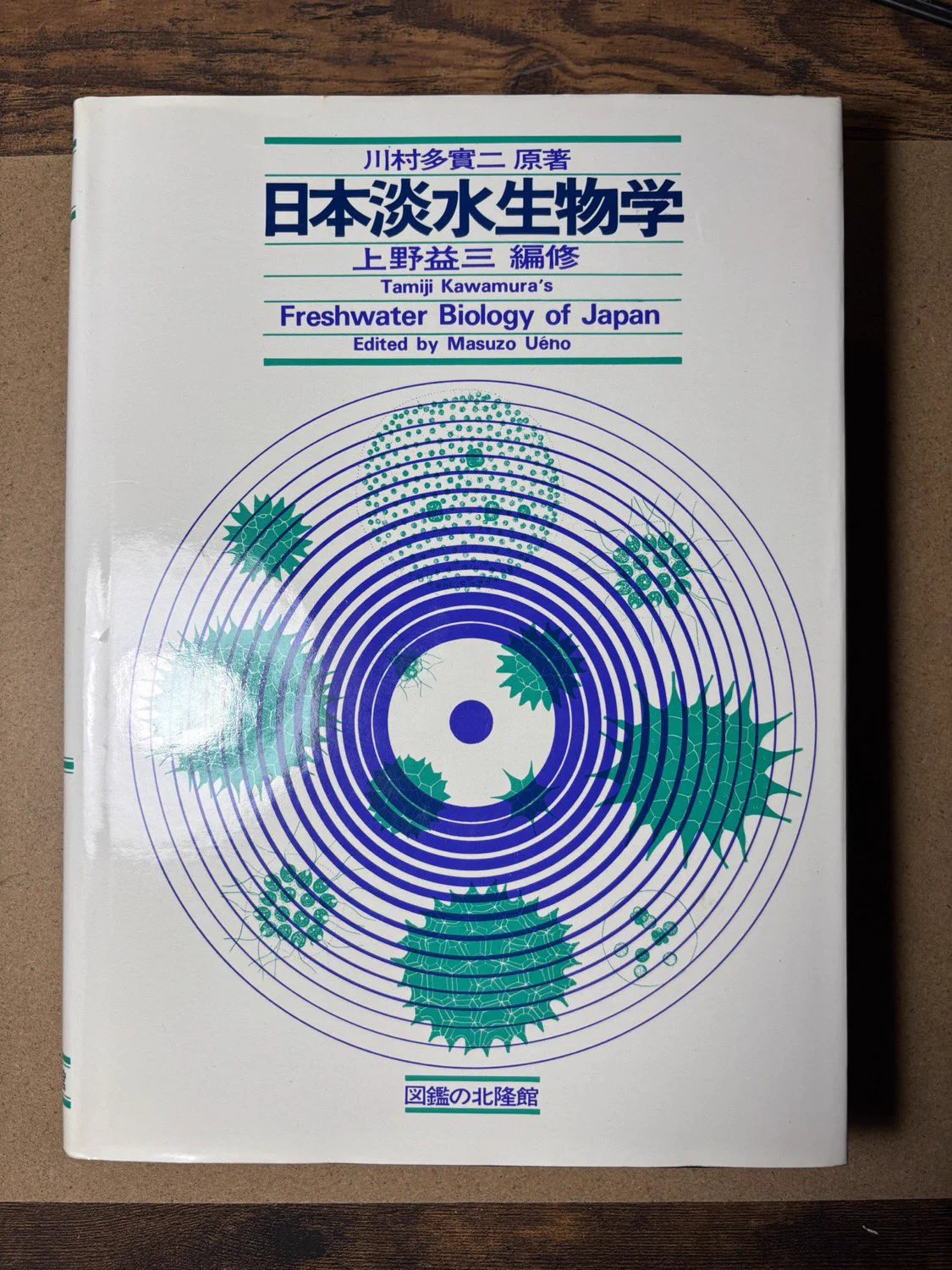 川崎映 on X: 