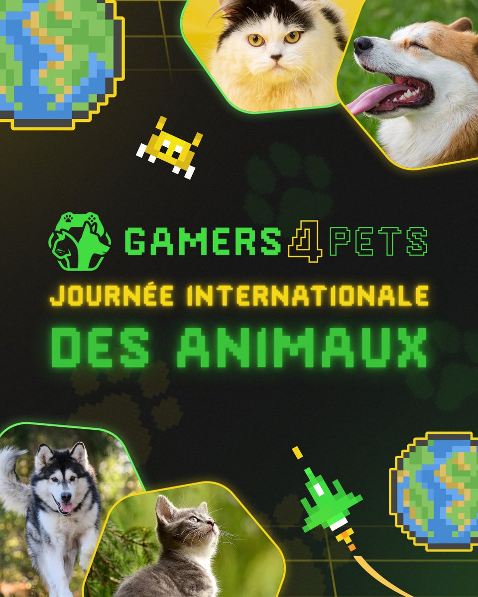 🐾 4 octobre – Journée Internationale des Animaux 🐾Qu'il soient compagnons, sauvages ou marins, chaque vie compte. 
💛 Respectons-les 
💚 Protégeons-les  
🌍Vivons avec eux, pas contre eux.  #JourneeDesAnimaux #Respect #ProtectionAnimale #Gamers4pets