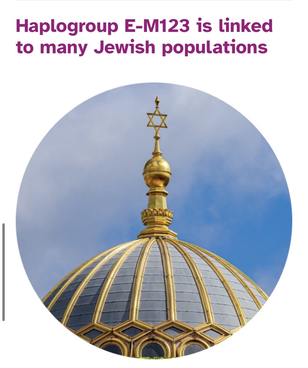 discover.23andme.com/haplogroup/E1b…

discover.familytreedna.com/y-dna/E-M123/s…

yfull.com/arch-6.02/tree…

نشر الإشاعات لا يغيّر من الحقائق العلمية. التحور E-M123 تحور سامي–متجذر عريق، مثبت بعشرات الدراسات الأكاديمية والميدانية، ومتواجد بوضوح لدى الساميين والبروتو ساميين وغيرهم من شعوب الشرق الادنى والاوسط .