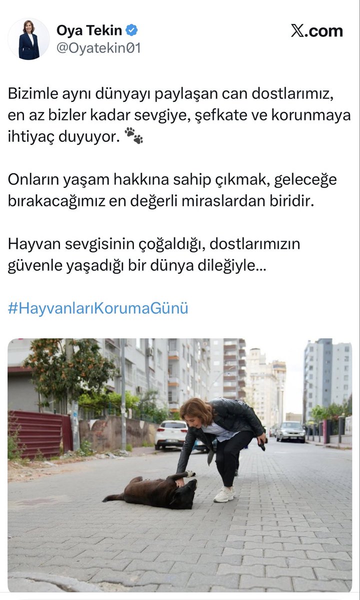 Sahipsiz başıboş köpekler çocukları parçalamasın diye çaresizce mücadele ederken bir tanesi ortaya çıkmadı.

İnsanlar ölüyorken ölü taklidi yaptılar. Köpekçi fanatikler Meclisi yıkarken sustular… şimdi “hayvan hakkı” maskesiyle köpek güzellemek için sahneye çıkmışlar.

Bin kere