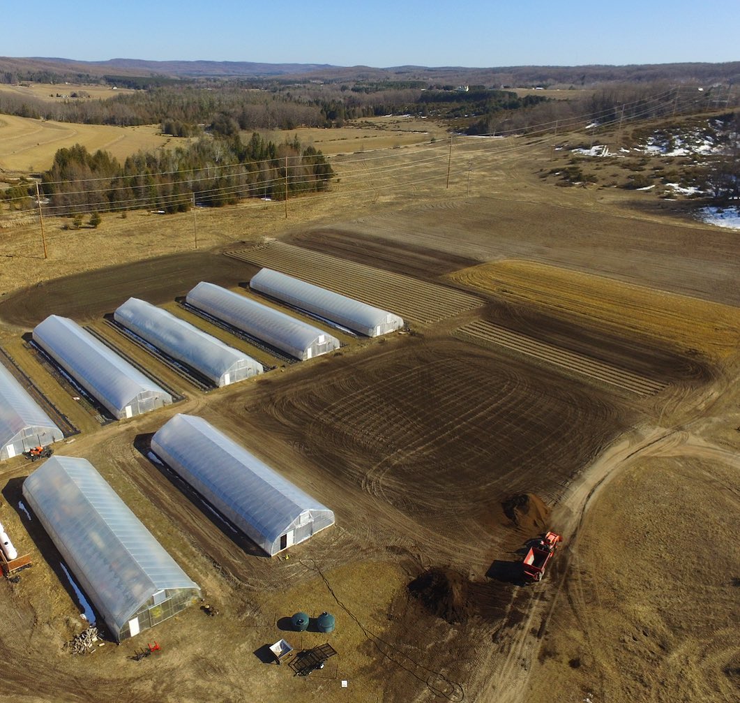 NiftyHoops's tweet image. 🥬 Spinach, kale, lettuce… what’s the ultimate fall high tunnel lineup? Find out which crops thrive as the weather cools and extend your harvest into the frost.
📅 Plan your planting today: niftyhoops.com/learn/what-to-…
#HighTunnel #FallHarvest #ColdWeatherCrops #GardeningTips